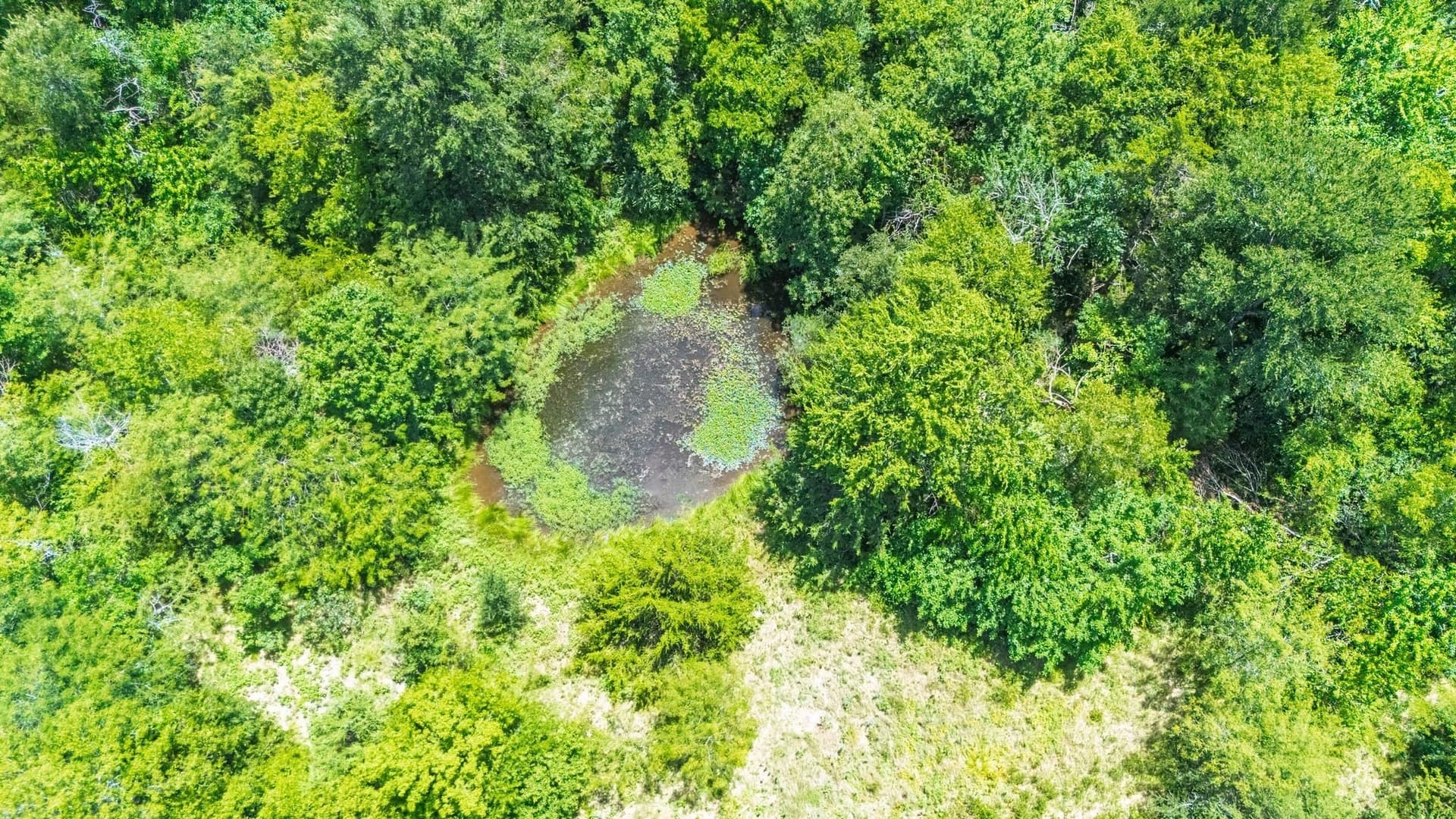 32.79 acres in Hunt County featured view