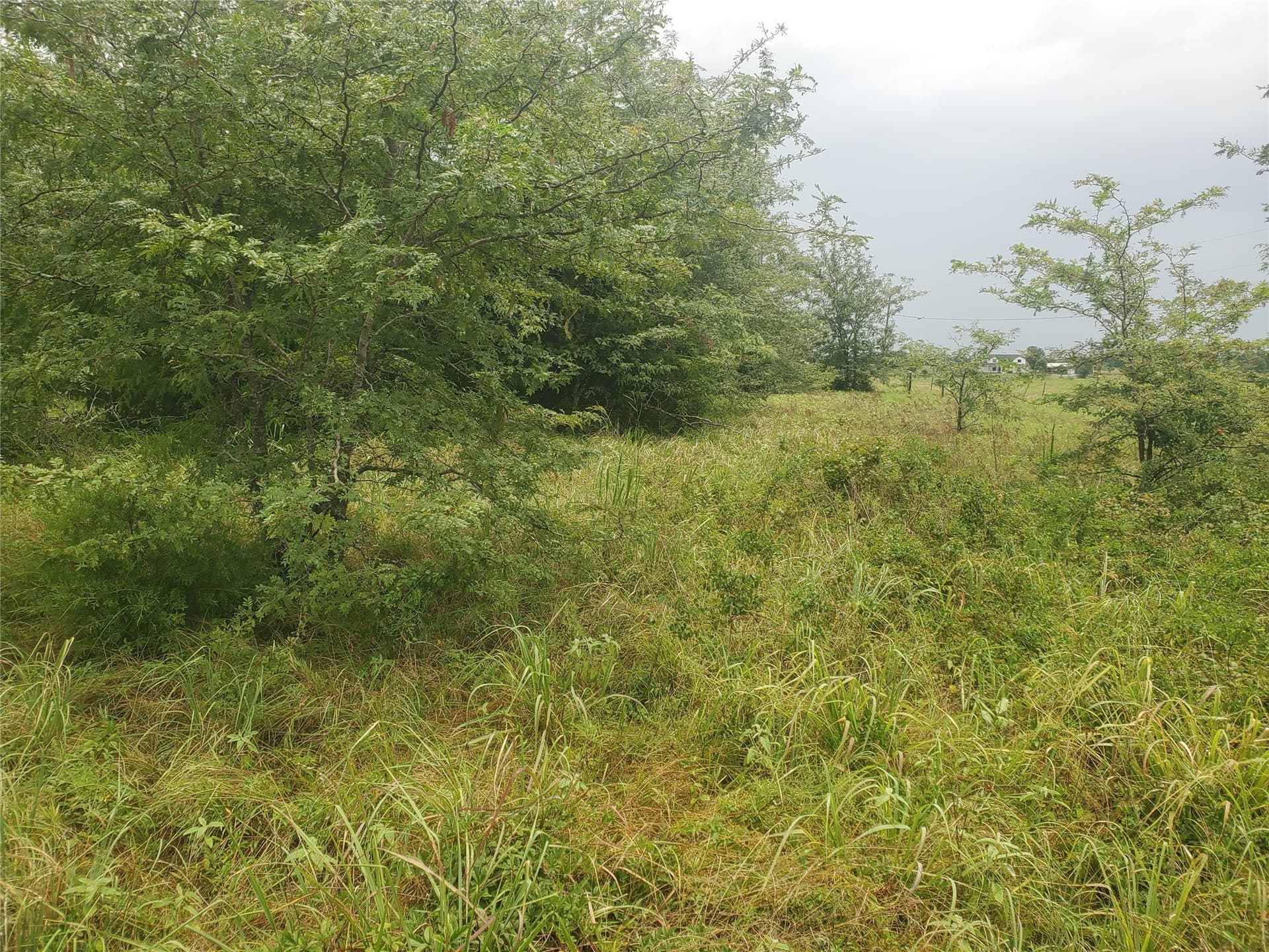 32.79 acres in Hunt County - photo 16