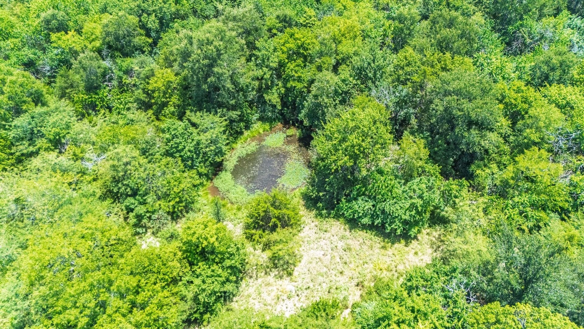 32.79 acres in Hunt County - photo 6