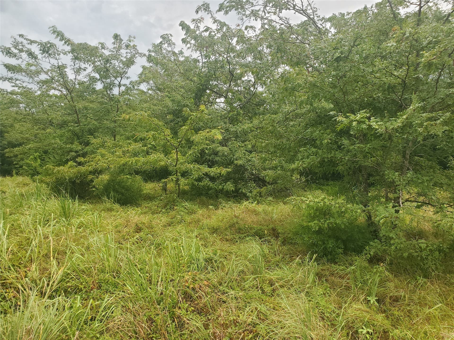 32.79 acres in Hunt County - photo 15