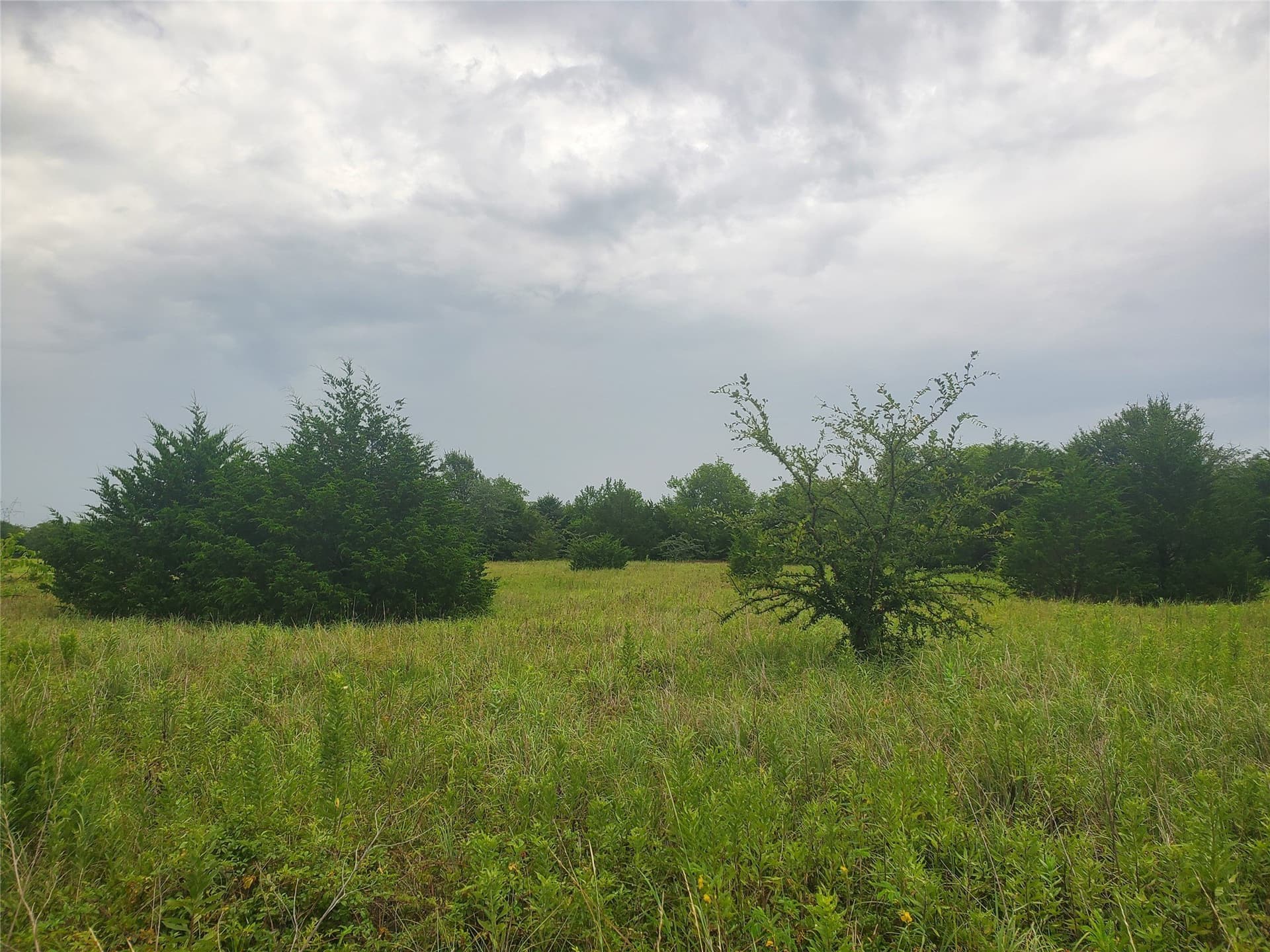 32.79 acres in Hunt County - photo 21