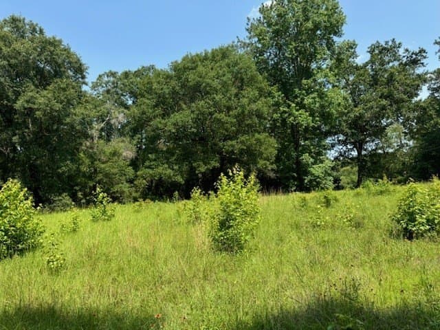 0.53 acres in Texas County gallery image 2
