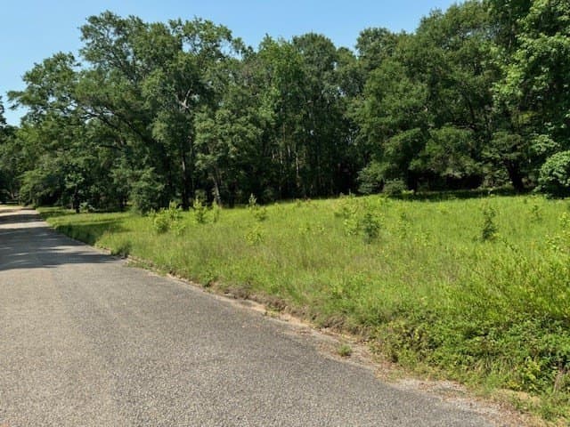 0.53 acres in Texas County gallery image 4