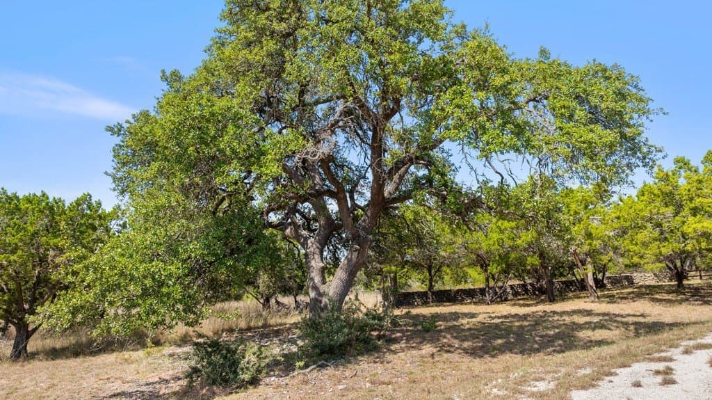 14.23 acres in Blanco County - photo 11