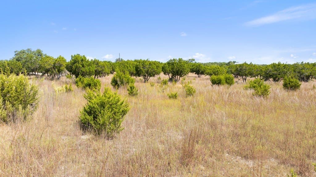 14.23 acres in Blanco County - photo 6