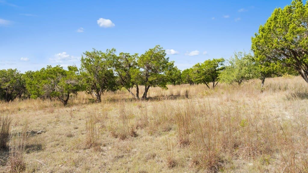 14.23 acres in Blanco County - photo 21