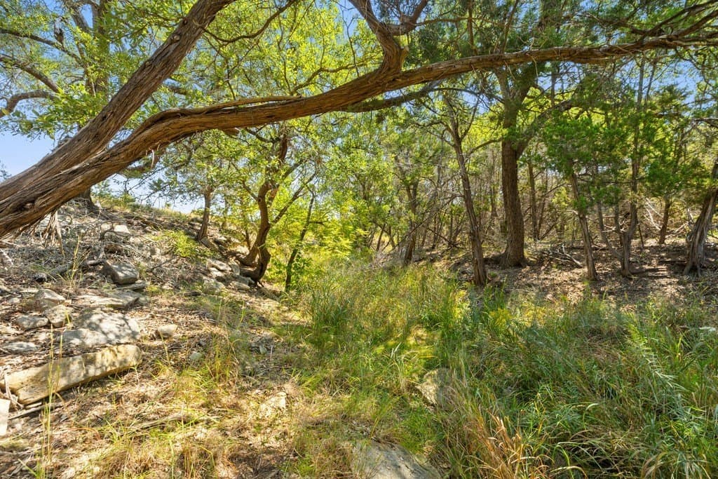 14.23 acres in Blanco County - photo 16
