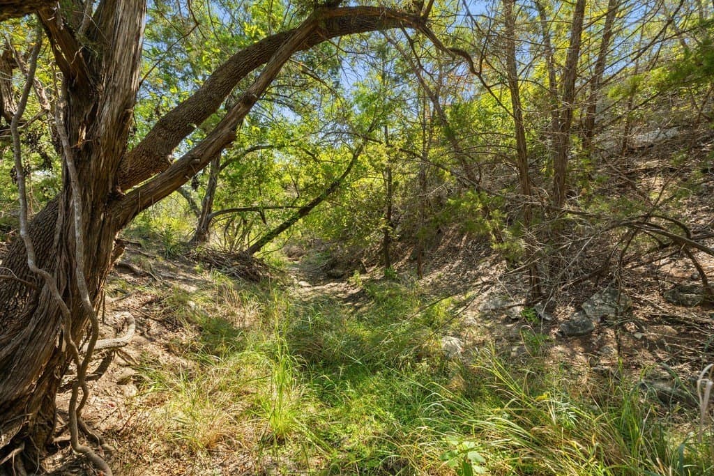 14.23 acres in Blanco County - photo 17