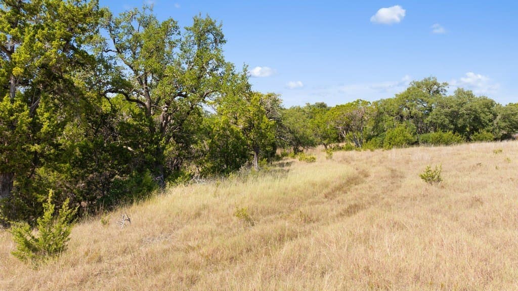 14.23 acres in Blanco County - photo 19