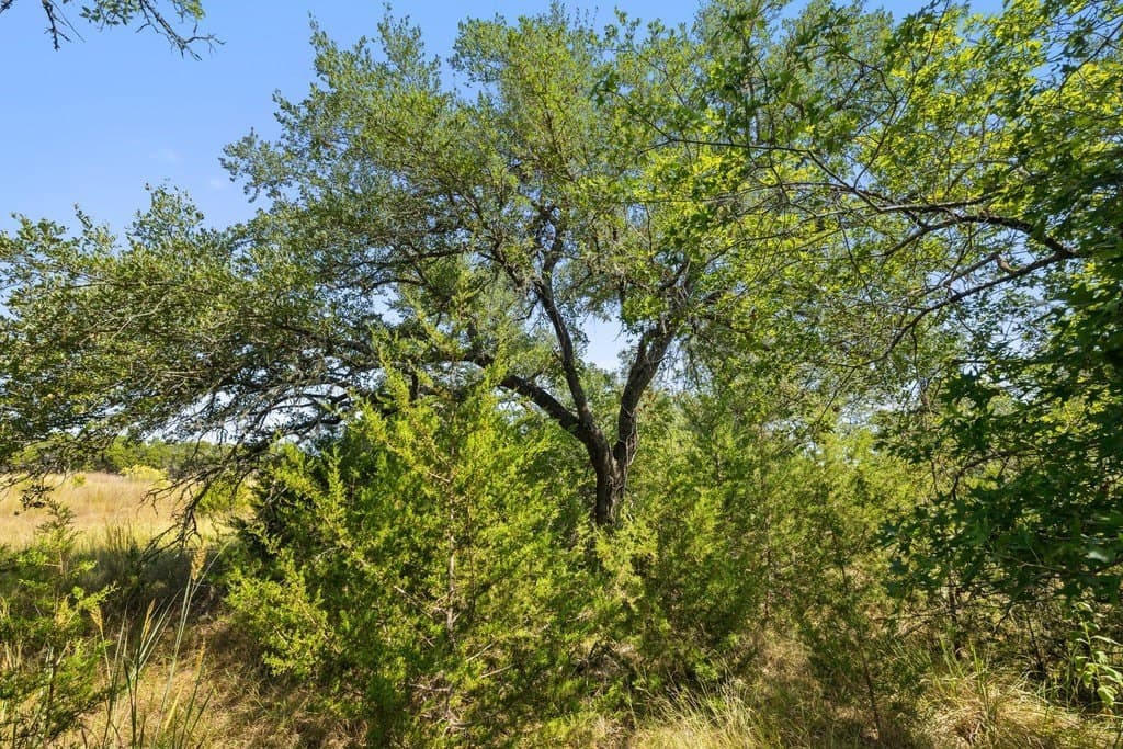 14.23 acres in Blanco County - photo 18