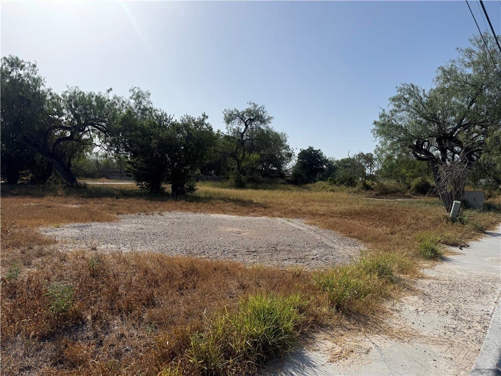 0.28 acres in Jim Wells County