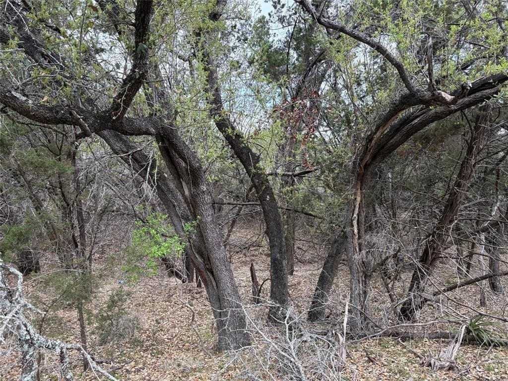 1.46 acres in Hays County - photo 9