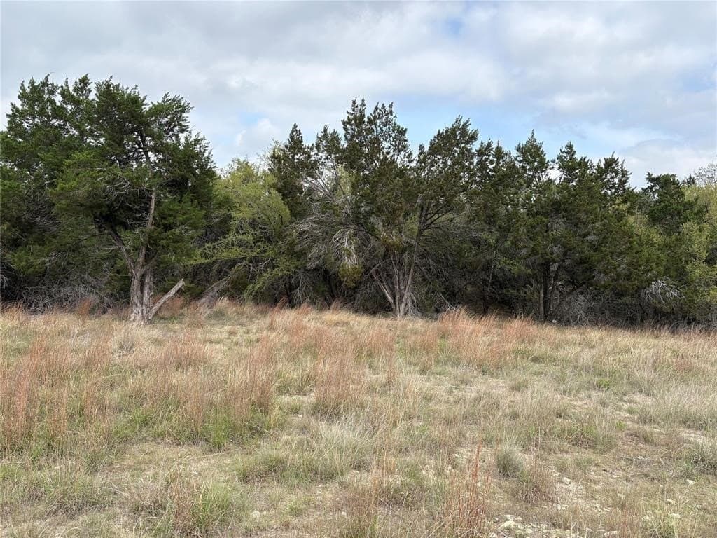 1.46 acres in Hays County - photo 7