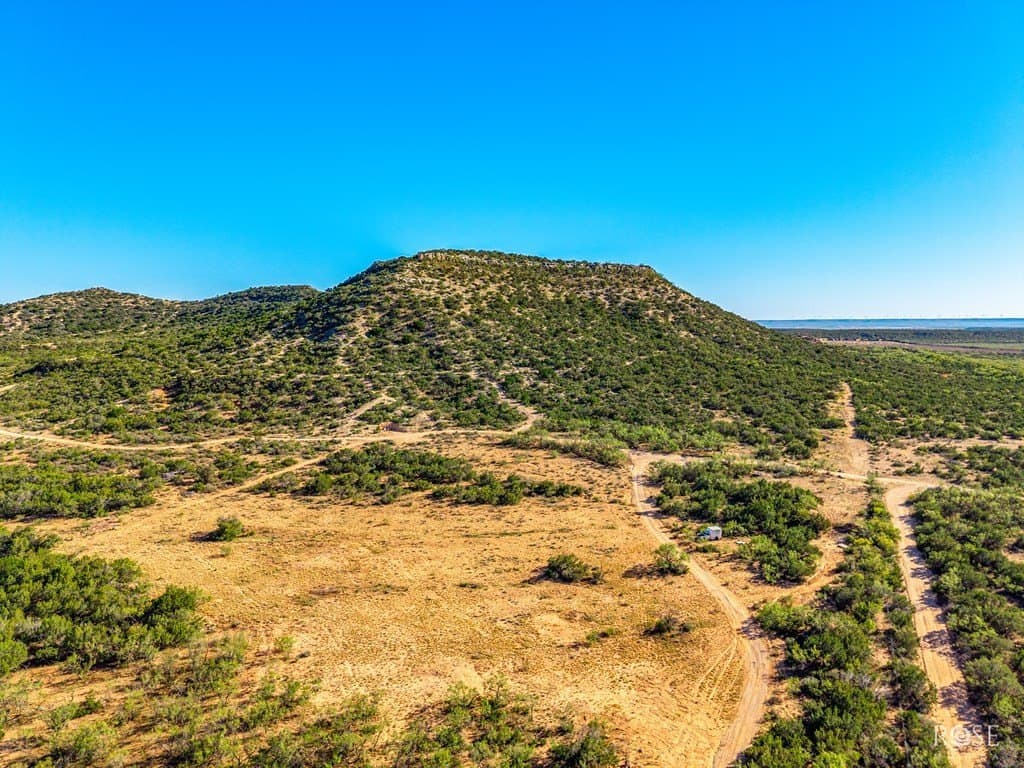 153 acres in Coke County gallery image 2