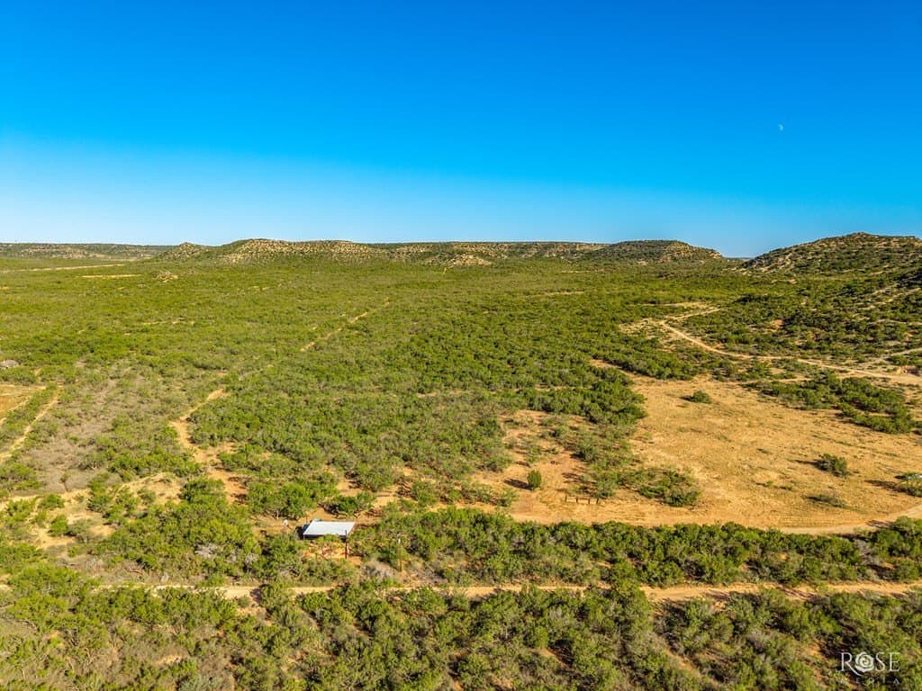 153 acres in Coke County gallery image 3