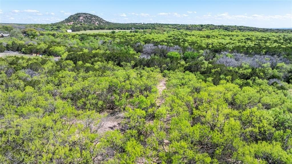 69.29 acres in Taylor County gallery image 3