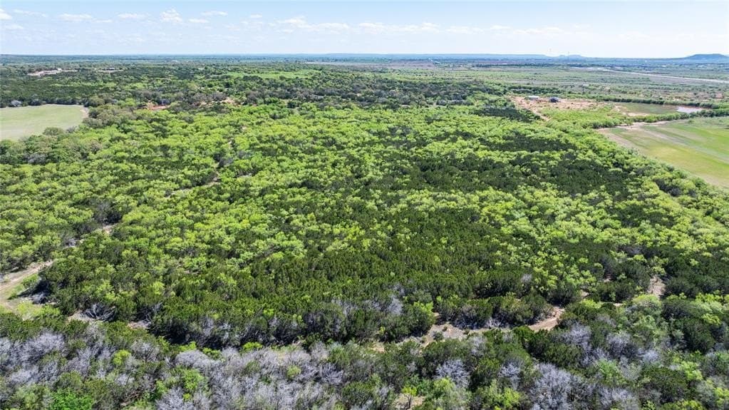 69.29 acres in Taylor County featured view