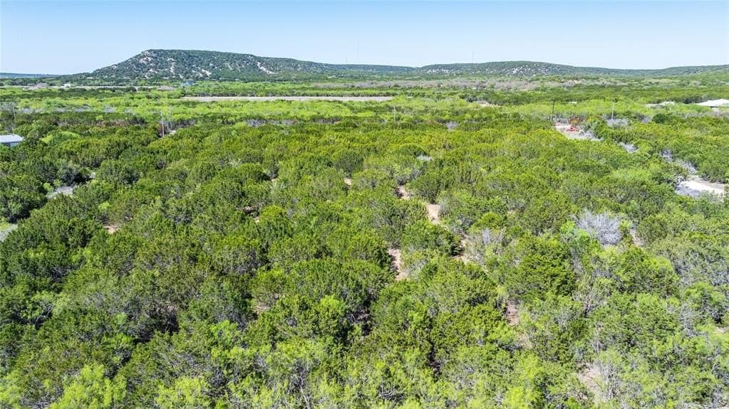 69.29 acres in Taylor County gallery image 4