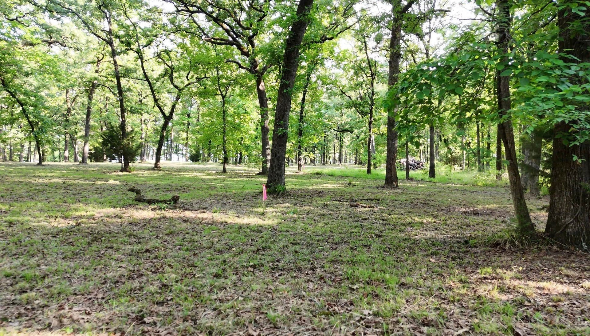 6 acres in Hunt County gallery image 2