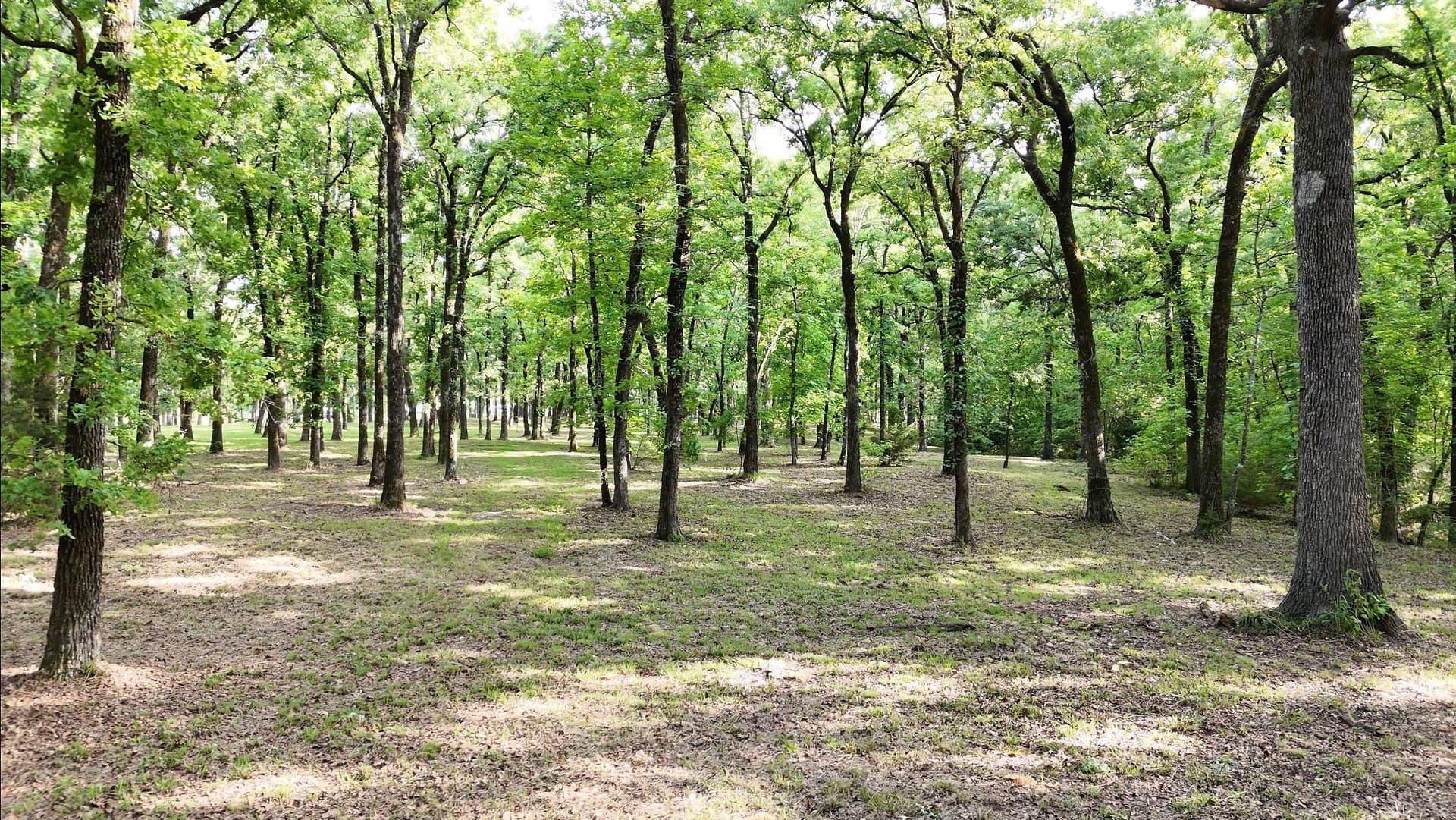 6 acres in Hunt County featured view