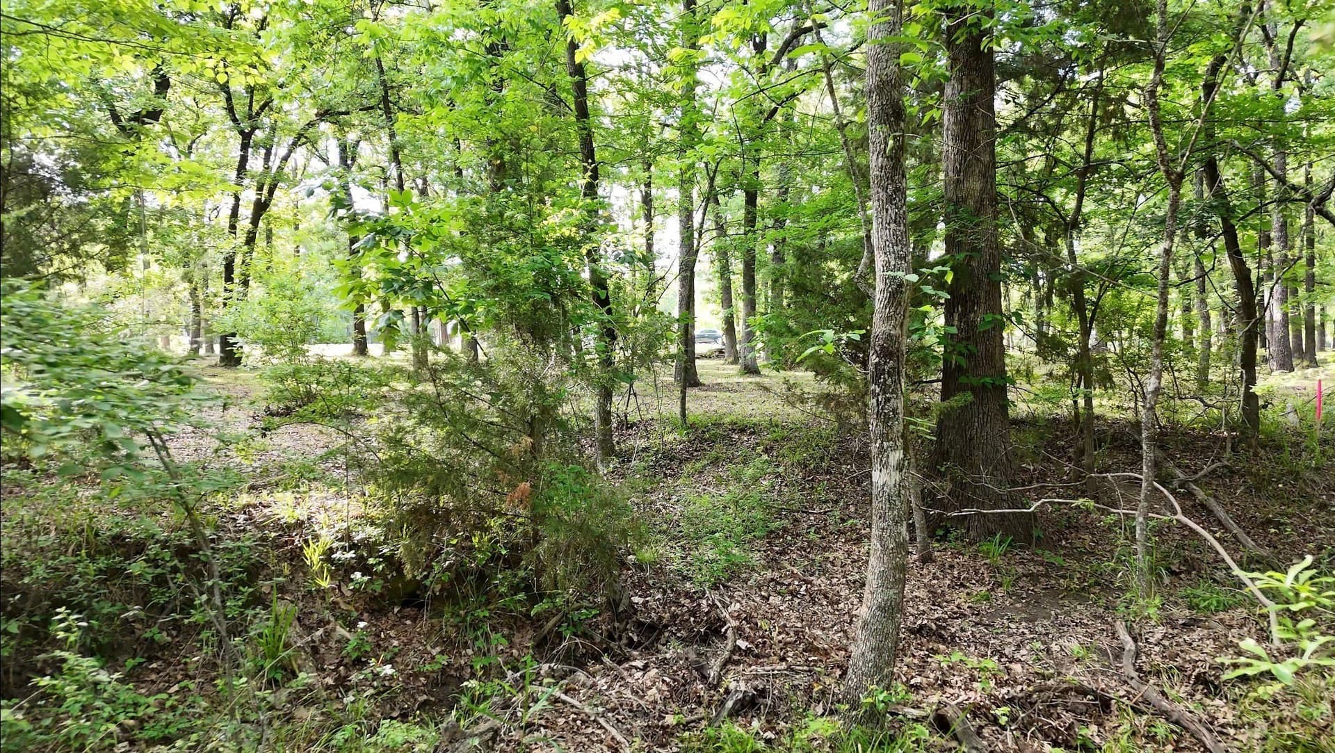 6 acres in Hunt County - photo 6