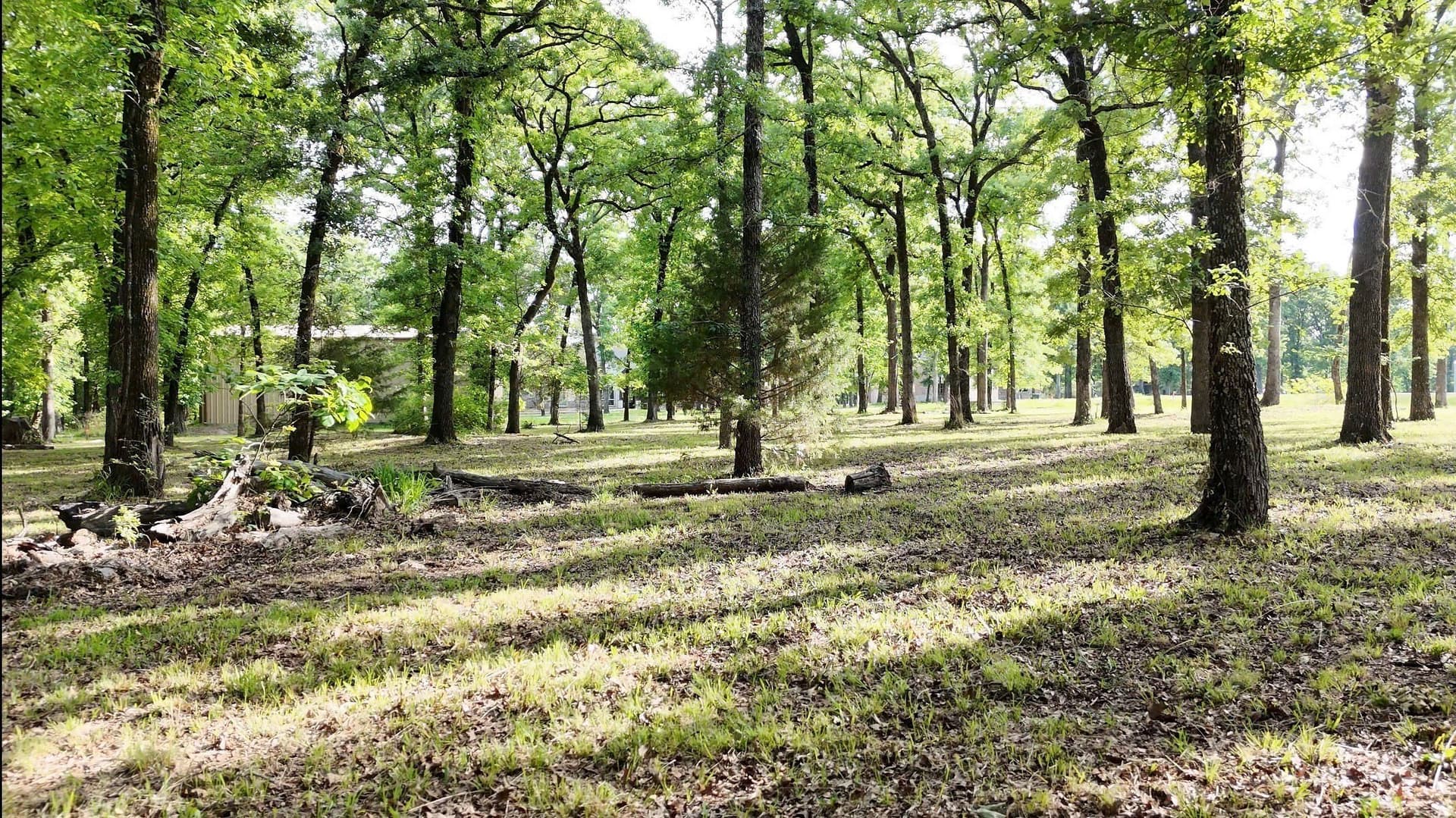 6 acres in Hunt County - photo 7