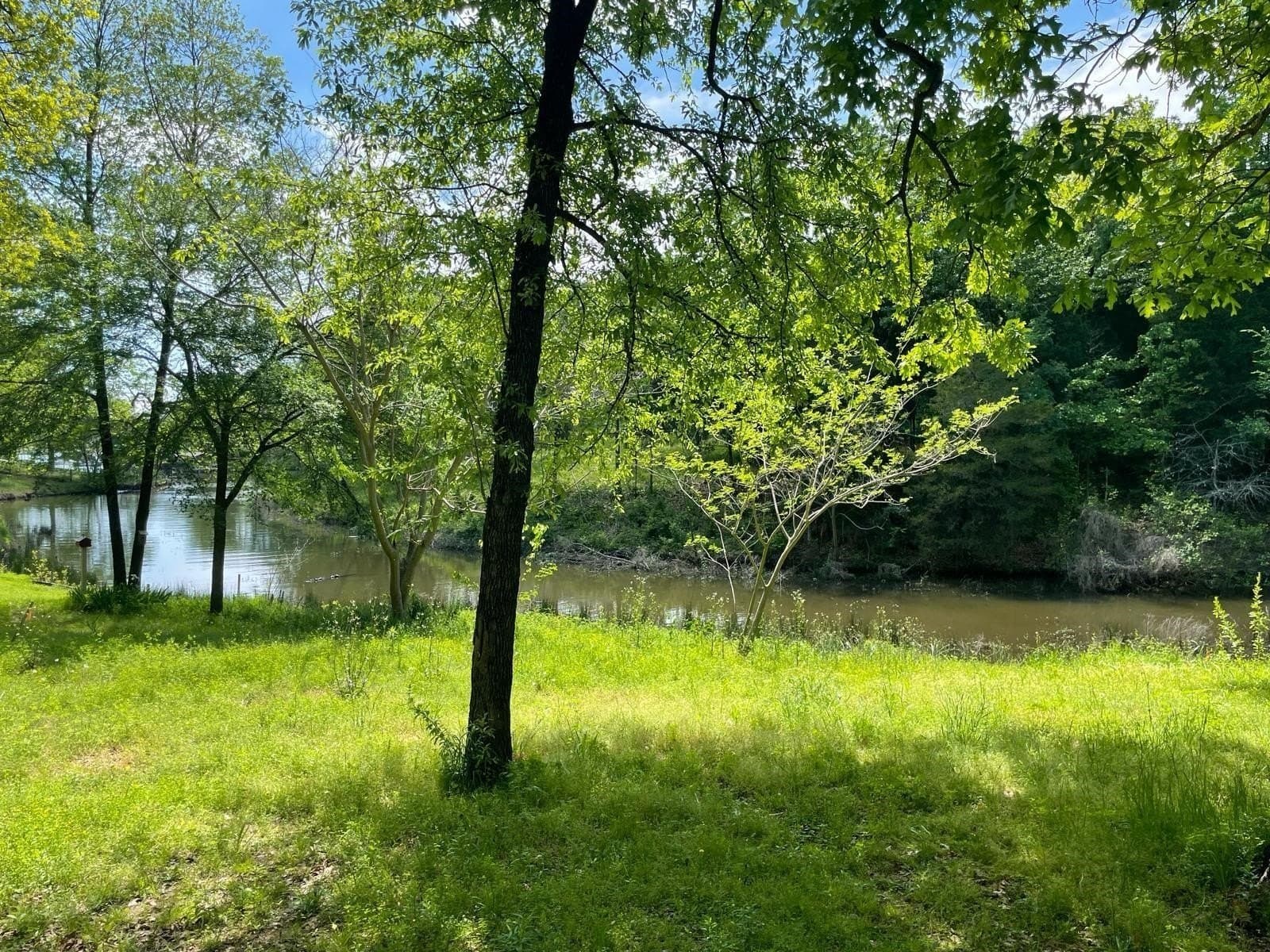 0.14 acres in Henderson County gallery image 2