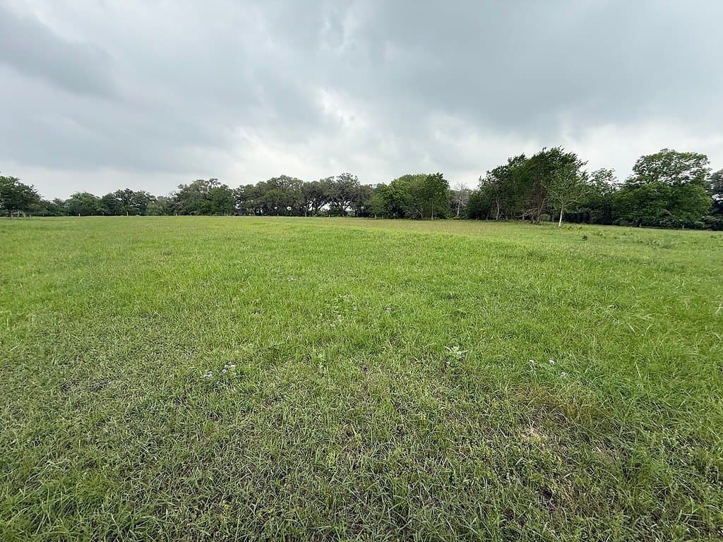 11.5 acres in Lavaca County - photo 7