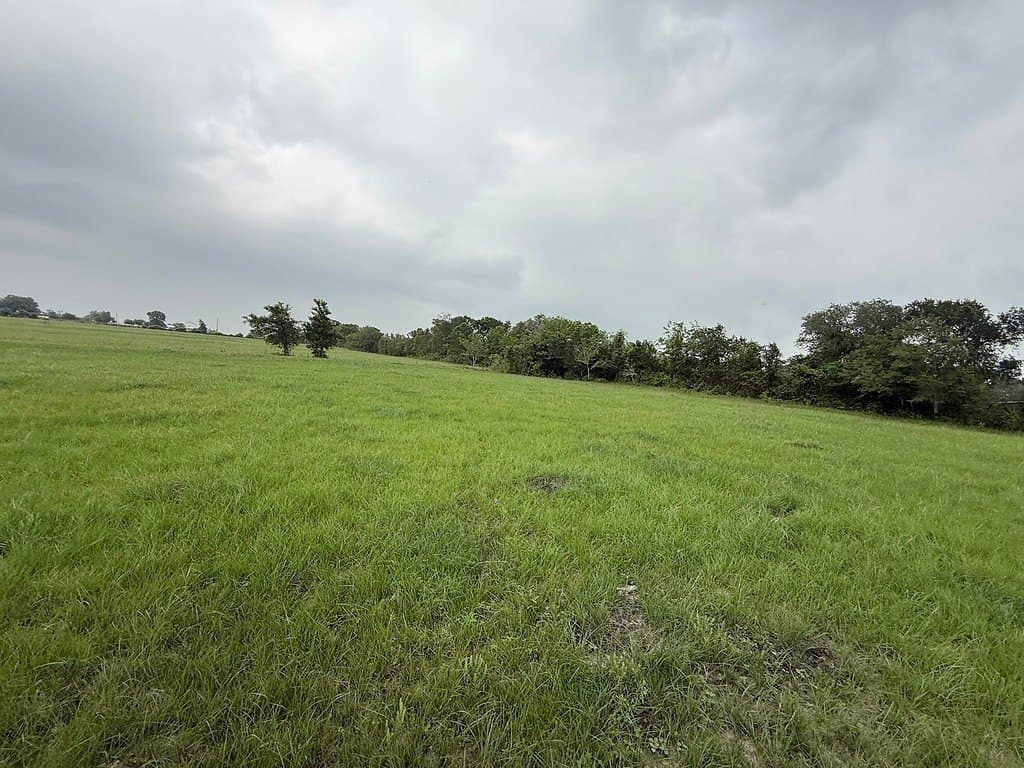 11.5 acres in Lavaca County - photo 6