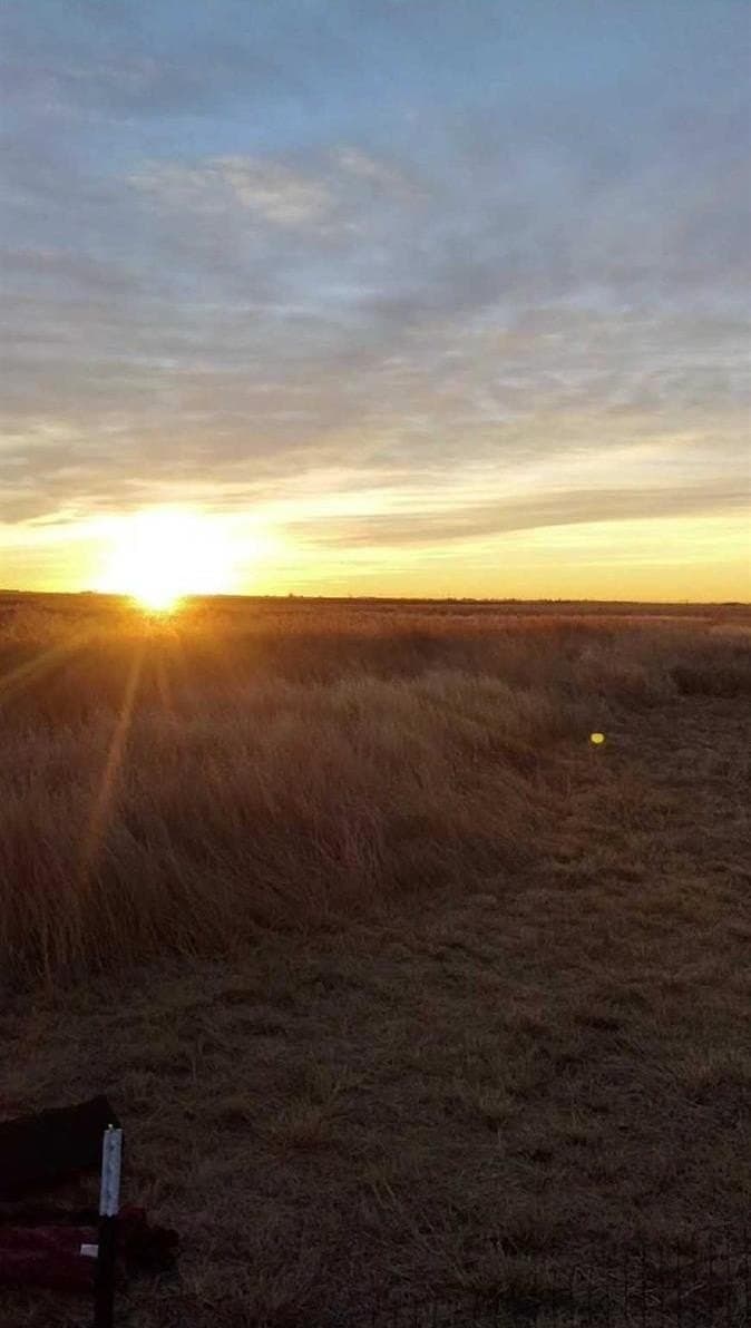 10.01 acres in Lubbock County gallery image 2