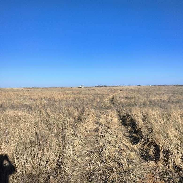 10.01 acres in Lubbock County featured view