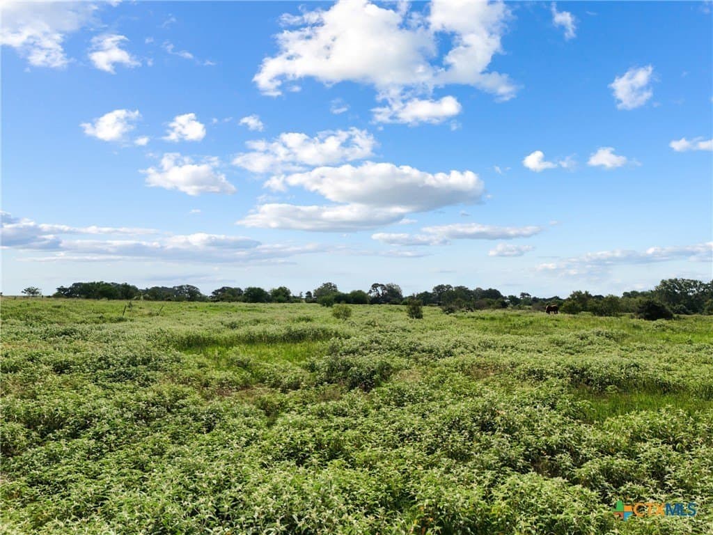 35.92 acres in Lavaca County gallery image 4