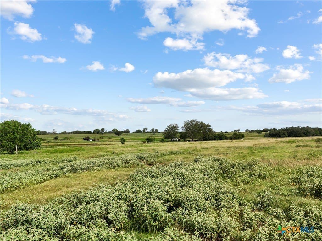 35.92 acres in Lavaca County gallery image 3