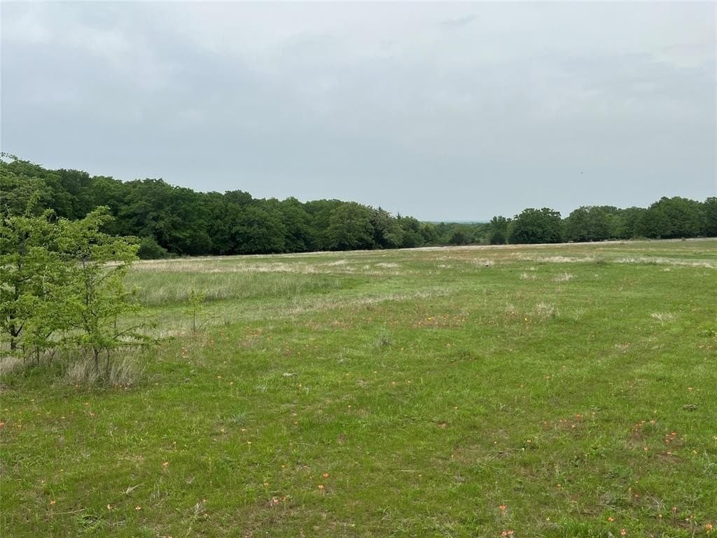 53.29 acres in Montague County gallery image 2