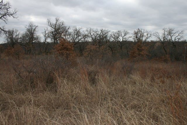 1.06 acres in Palo Pinto County - photo 20