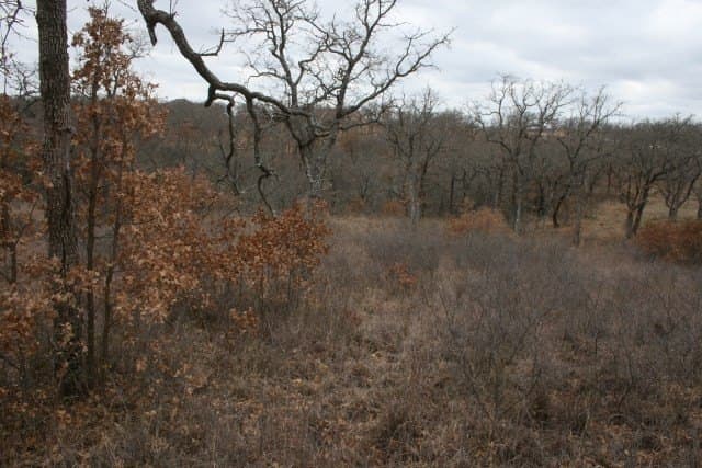 1.06 acres in Palo Pinto County - photo 29