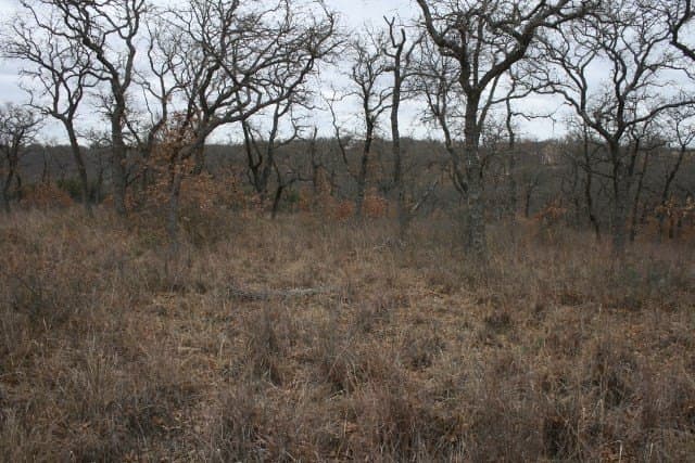 1.06 acres in Palo Pinto County - photo 24