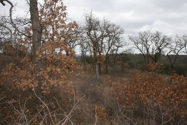 1.06 acres in Palo Pinto County - photo 30