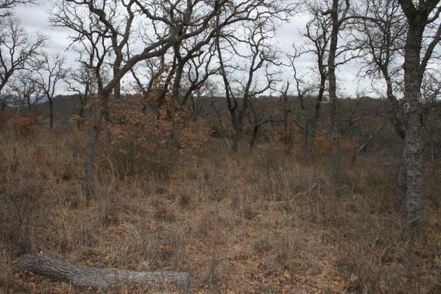 1.06 acres in Palo Pinto County - photo 34