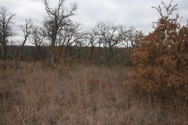 1.06 acres in Palo Pinto County - photo 22