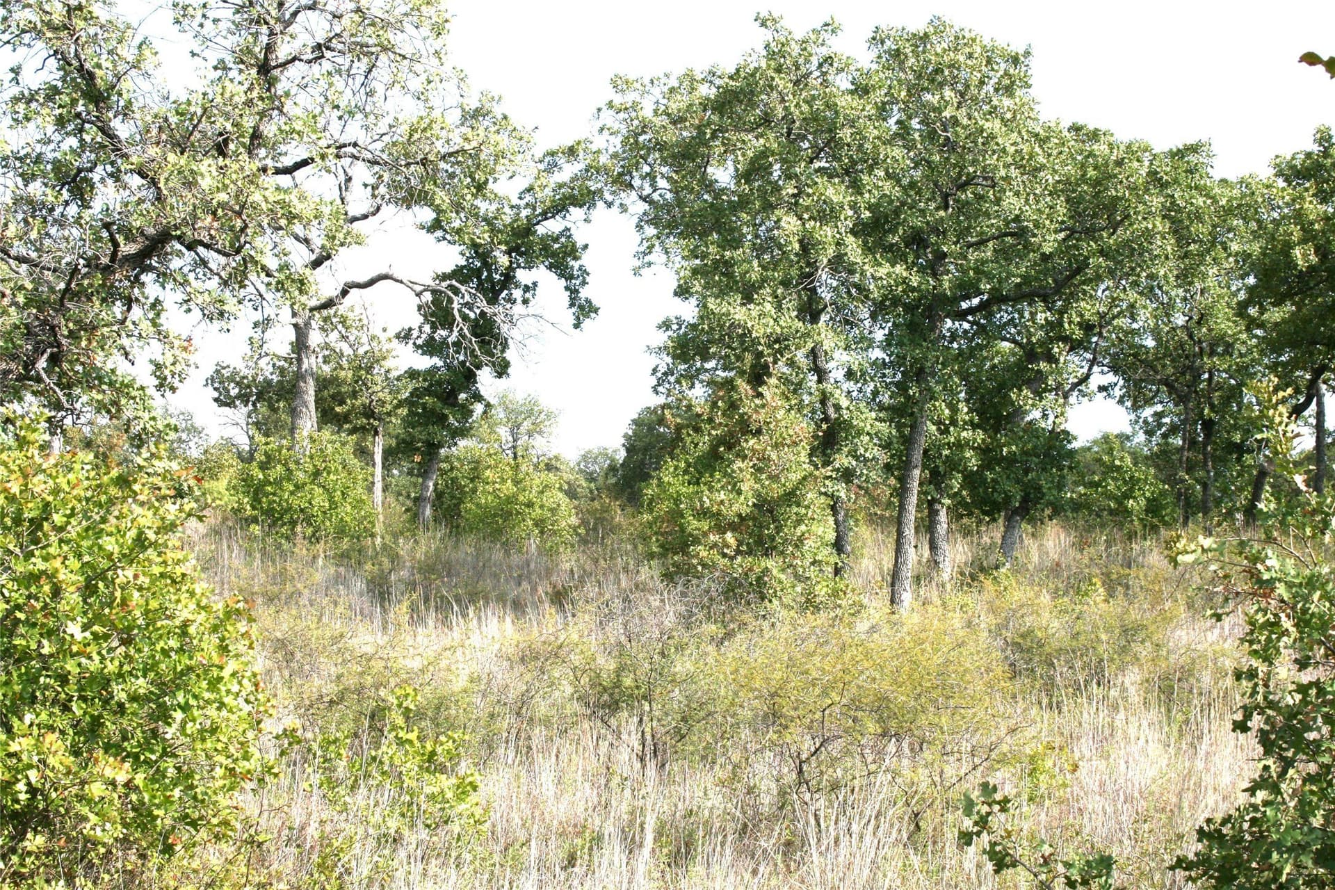 1.06 acres in Palo Pinto County - photo 10