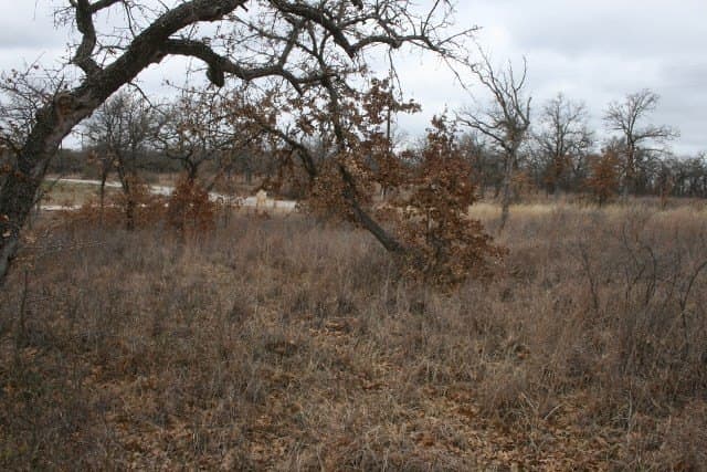 1.06 acres in Palo Pinto County - photo 26