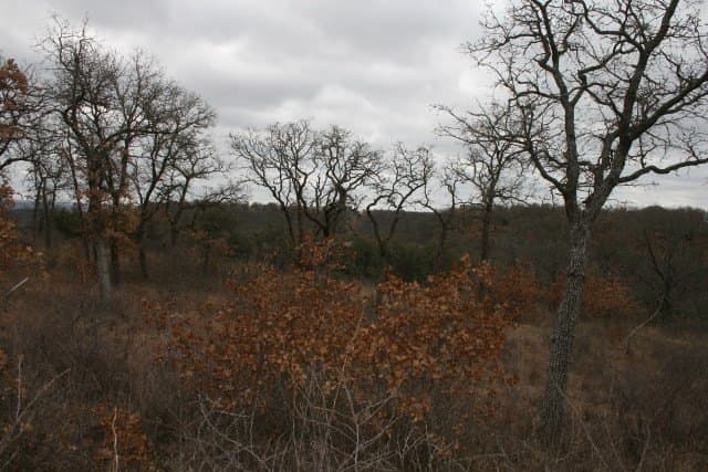 1.06 acres in Palo Pinto County - photo 31