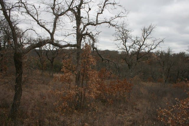 1.06 acres in Palo Pinto County - photo 28