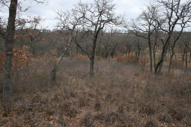 1.06 acres in Palo Pinto County - photo 27