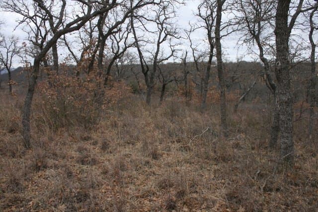 1.06 acres in Palo Pinto County - photo 25