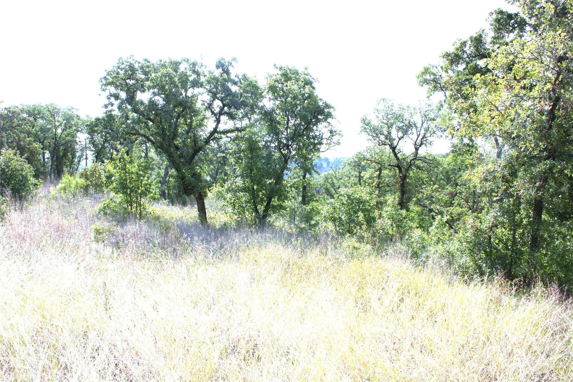 1.06 acres in Palo Pinto County - photo 8