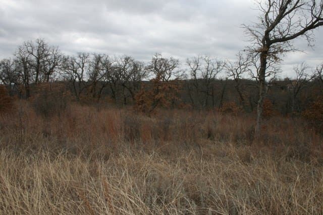 1.06 acres in Palo Pinto County - photo 21