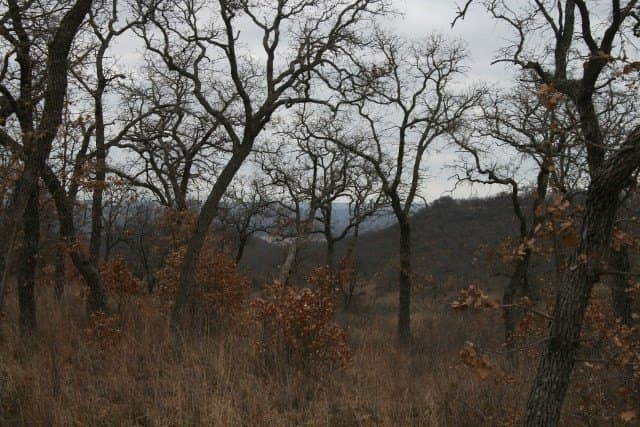 1.06 acres in Palo Pinto County - photo 23