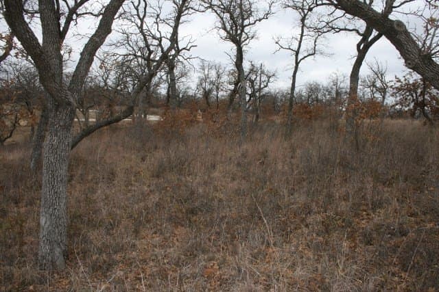 1.06 acres in Palo Pinto County - photo 32